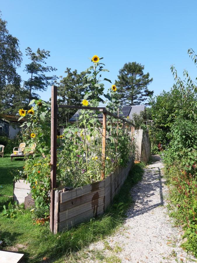 Ecolodge De Parel Schoorl Esterno foto