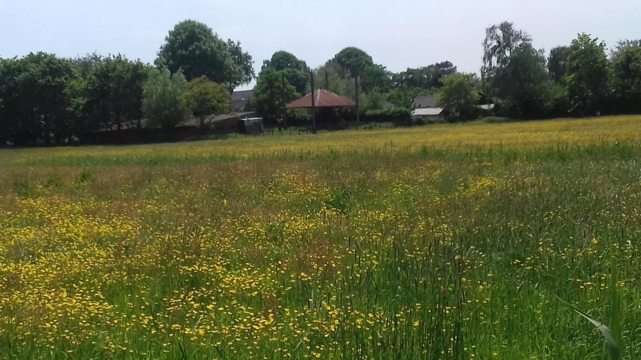 Ecolodge De Parel Schoorl Esterno foto