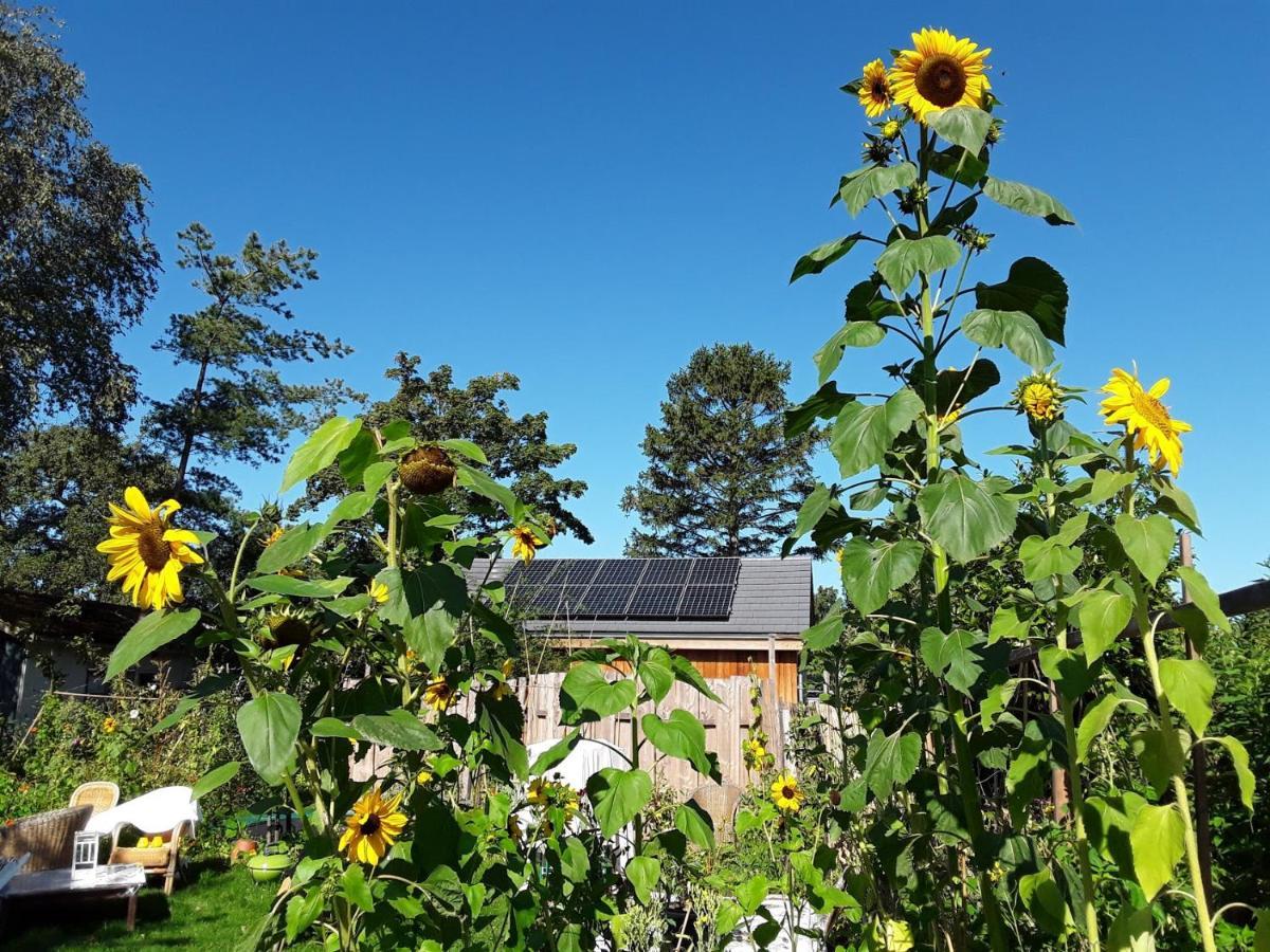 Ecolodge De Parel Schoorl Esterno foto